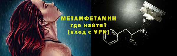 сатива Новодвинск
