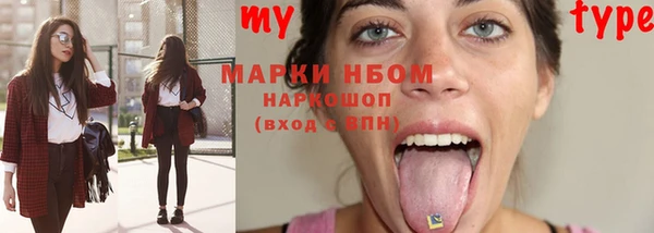 сатива Новодвинск