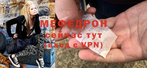 сатива Новодвинск