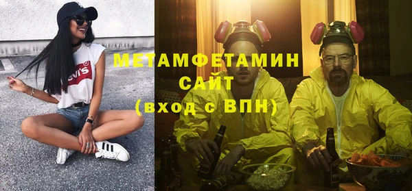 сатива Новодвинск