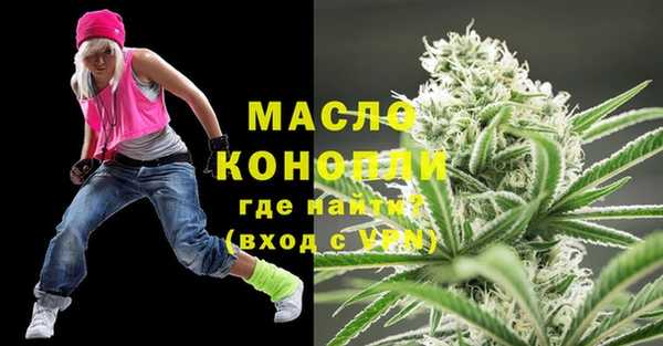 сатива Новодвинск