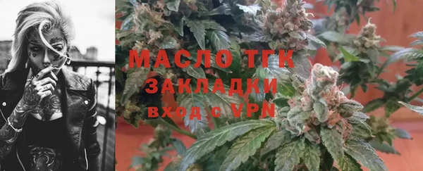 сатива Новодвинск