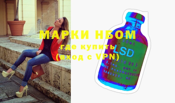 сатива Новодвинск