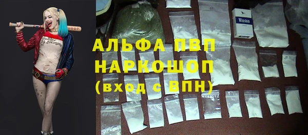 сатива Новодвинск