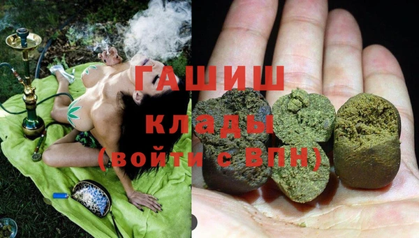 сатива Новодвинск