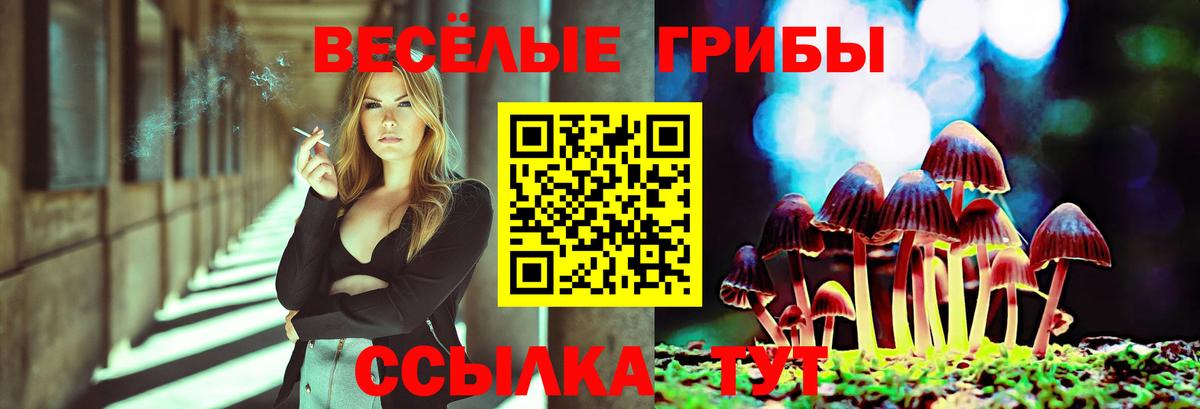 Псилоцибиновые грибы Psilocybine cubensis Краснотурьинск